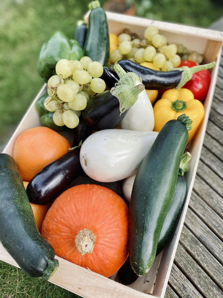 Cagette en bois garnie de courges, d'aubergines et de raisin