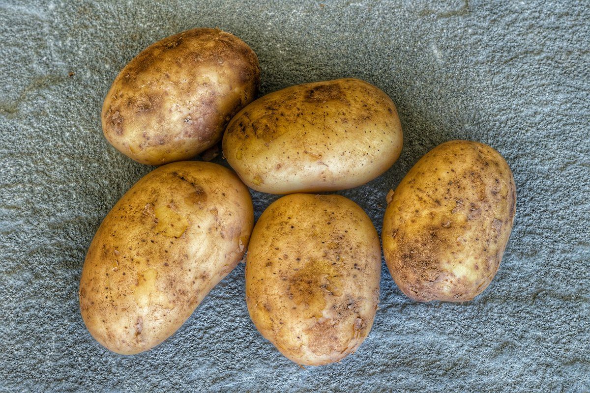 Cinq pommes de terre posées sur une pierre plate